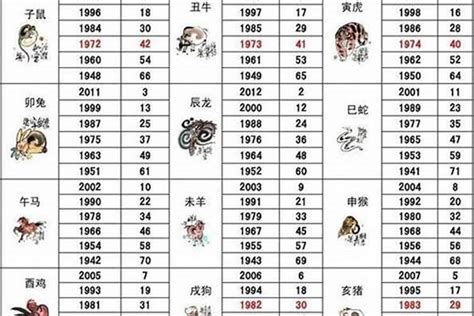 2022年生肖|2022年属什么生肖